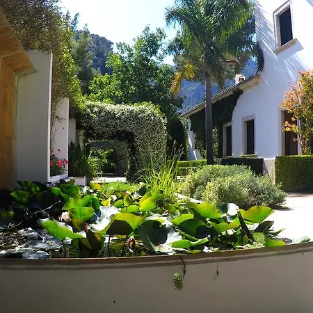 Apartamento Alfabia Nou