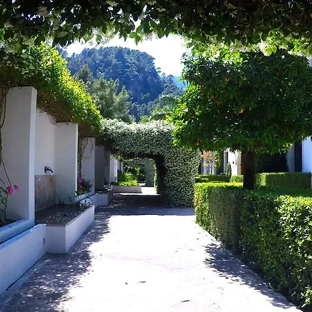 Alfabia Nou