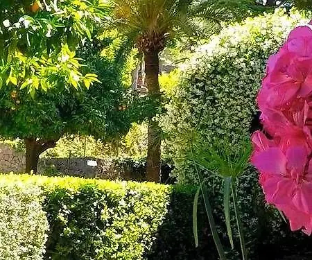 Alfabia Nou Apartamento Bunyola (Buñola)