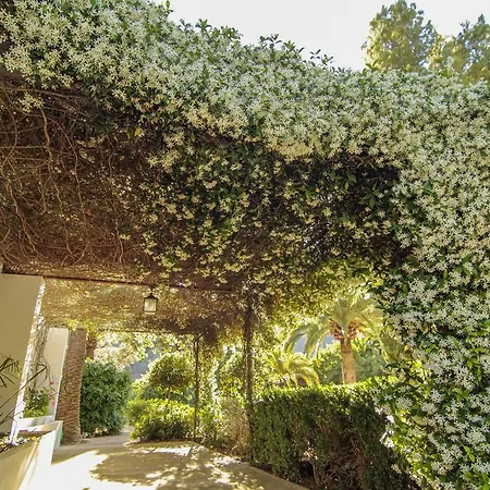 Apartment Alfabia Nou *