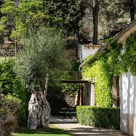 Alfabia Nou Bunyola (Buñola)